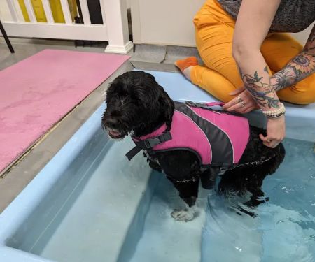 Valley Animal Hospital