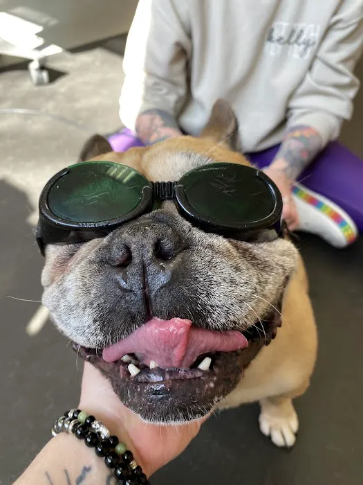 Valley Animal Hospital Picture 10