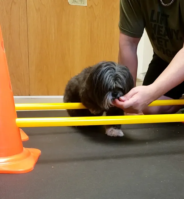 Valley Animal Rehabilitation Picture 1