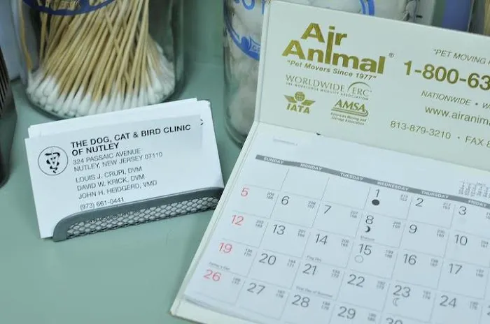 Dog Cat & Bird Clinic of Nutley Picture 3