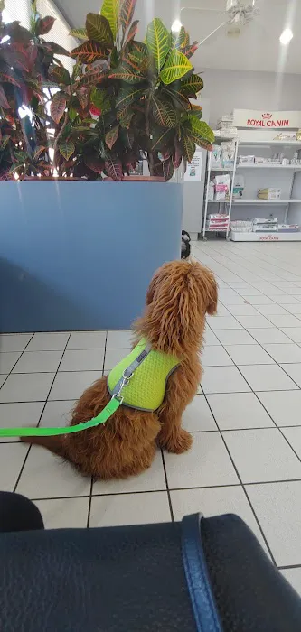 Dog Cat & Bird Clinic of Nutley Picture 1
