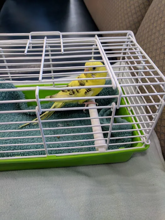 Dog Cat & Bird Clinic of Nutley Picture 7