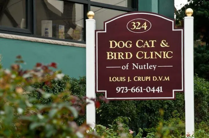 Dog Cat & Bird Clinic of Nutley Picture 5