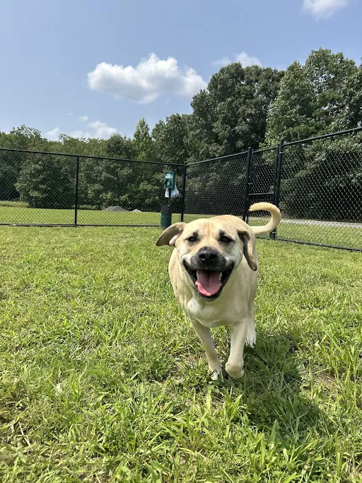 Dog Cat & Bird Clinic of Nutley Picture 10