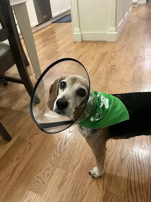 Animal Eye Center of New Jersey Picture 4