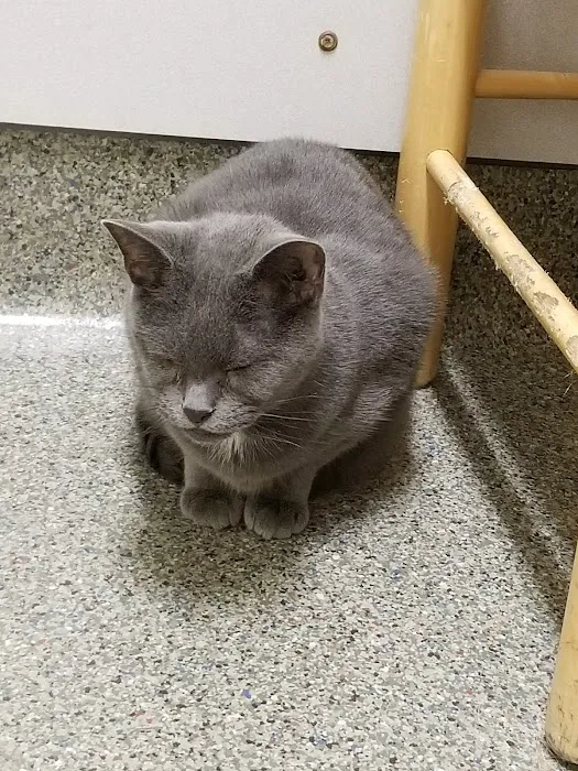 Animal Eye Center of New Jersey Picture 5