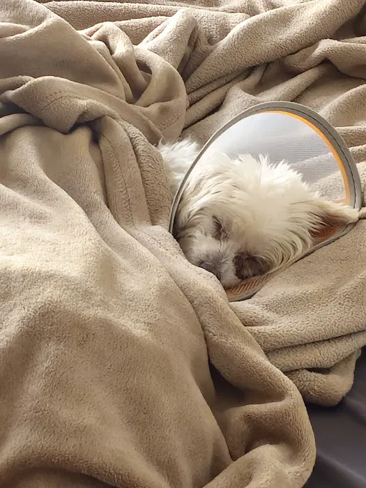 Animal Eye Center of New Jersey Picture 2