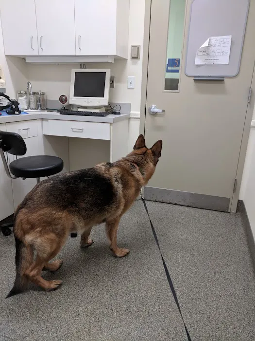 Animal Eye Center of New Jersey Picture 6