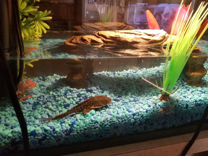 Something's Fishy Picture 4