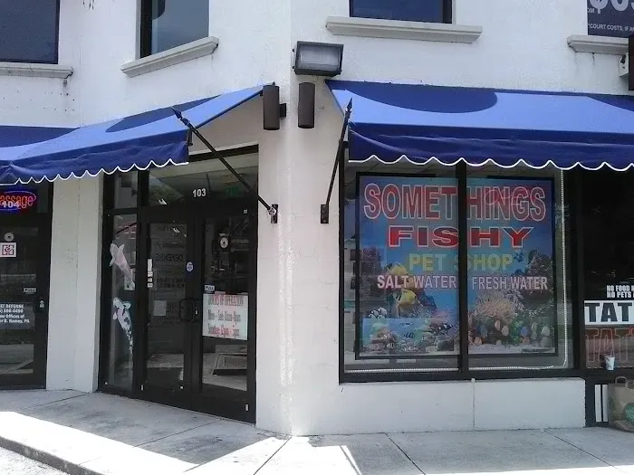 Something's Fishy Picture 1