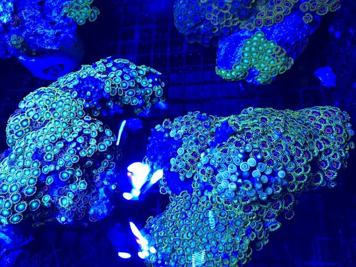 Something's Fishy Picture 7