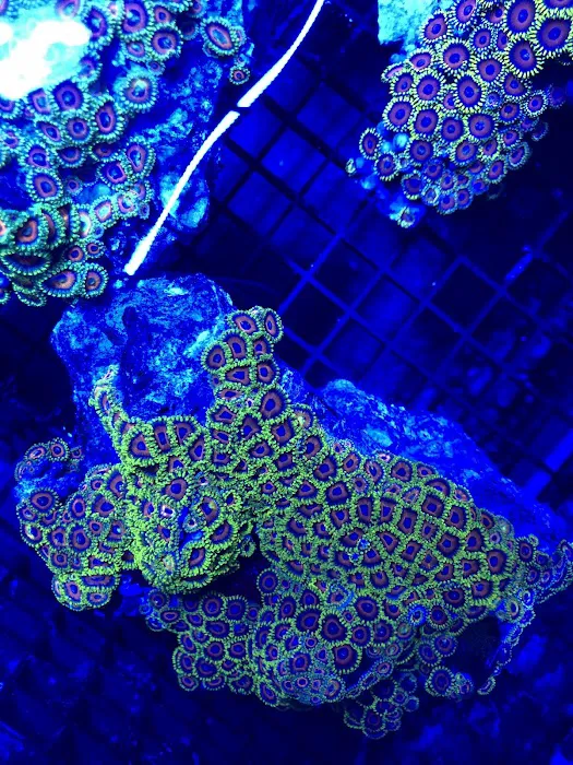 Something's Fishy Picture 8