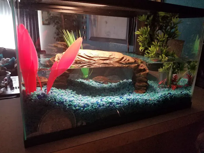 Something's Fishy Picture 2