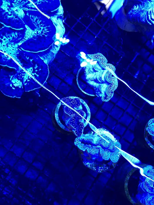 Something's Fishy Picture 6