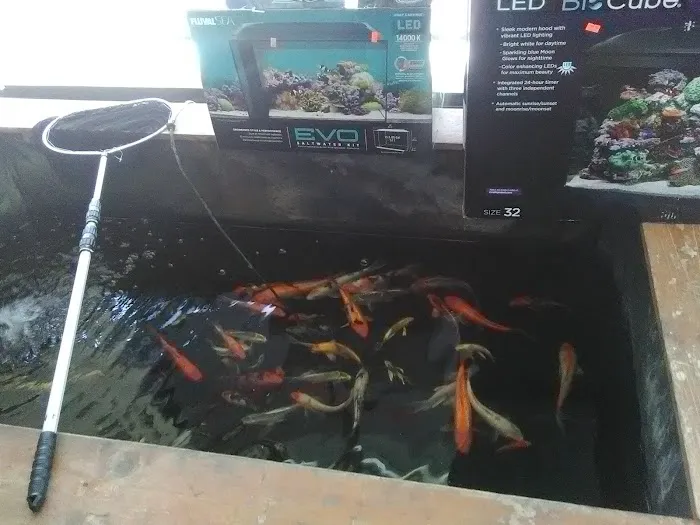 Something's Fishy Picture 3