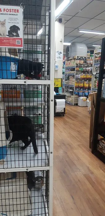 Pet Supermarket Picture 9