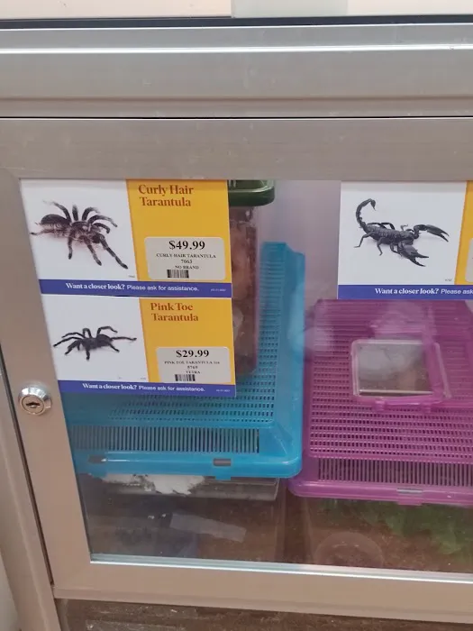 Pet Supermarket Picture 7