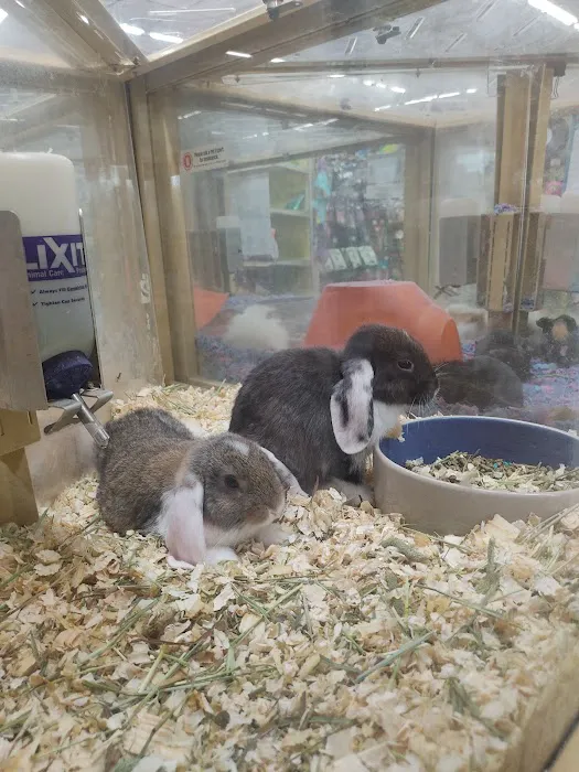 Pet Supermarket Picture 6