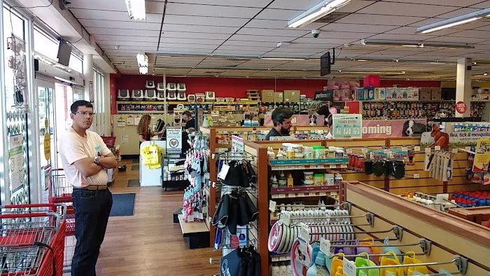Pet Supermarket Picture 5