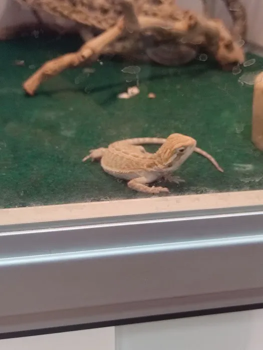 Pet Supermarket Picture 3