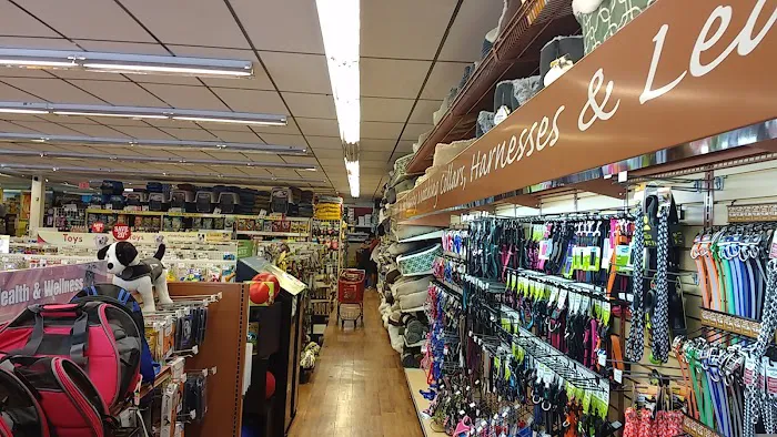 Pet Supermarket Picture 2