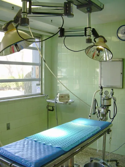 Foster Animal Hospital Picture 4