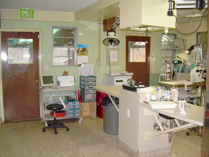 Foster Animal Hospital Picture 6