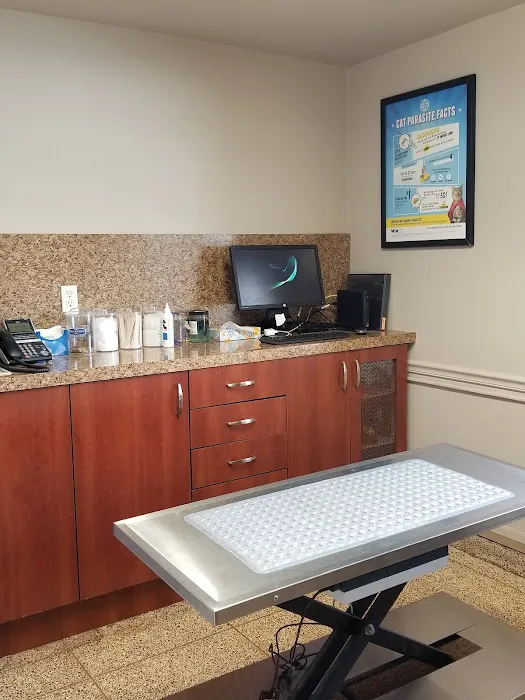 Foster Animal Hospital Picture 2