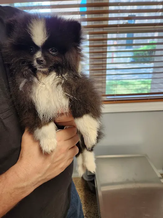 Foster Animal Hospital Picture 8