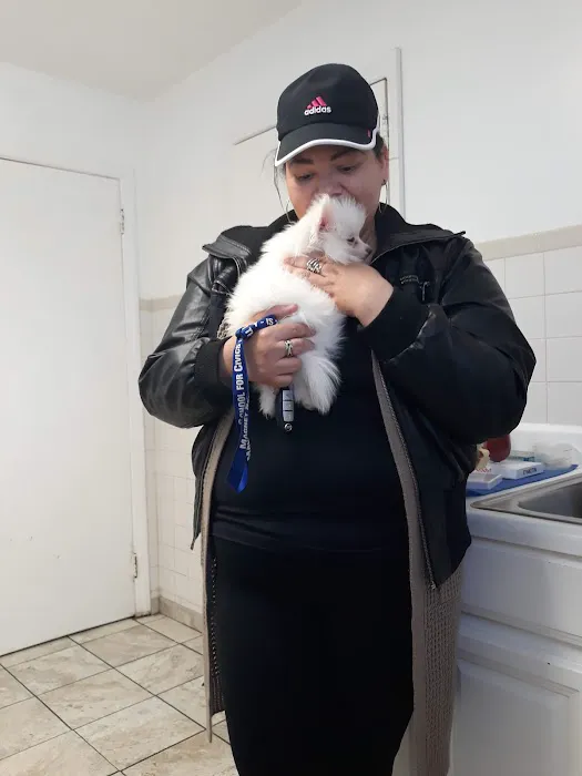 Lyndhurst Animal Hospital Inc Picture 8