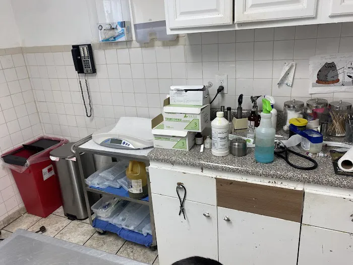 Lyndhurst Animal Hospital Inc Picture 7