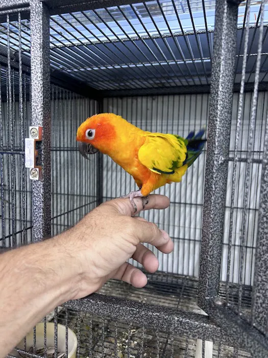 Animal Jungle Pet Shop Picture 3