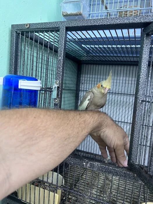 Animal Jungle Pet Shop Picture 5