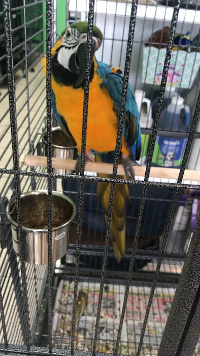 Animal Jungle Pet Shop Picture 1