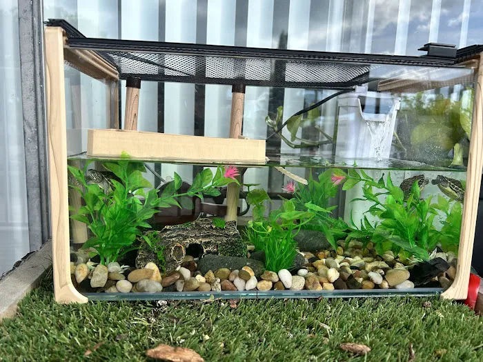 Animal Jungle Pet Shop Picture 6