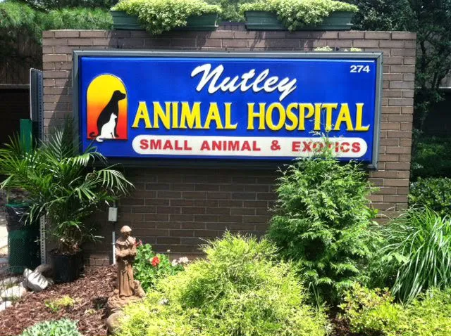 Nutley Animal Hospital Picture 1