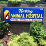 Nutley Animal Hospital