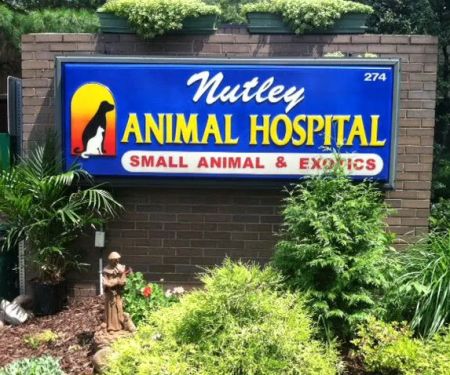 Nutley Animal Hospital