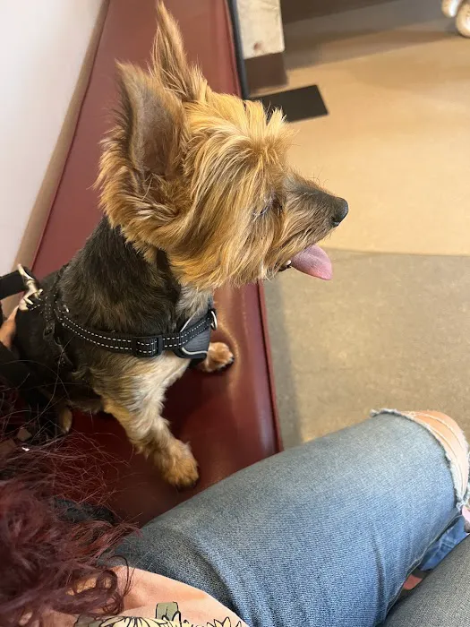 Nutley Animal Hospital Picture 2