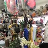 Kenia's Pet Shop ico