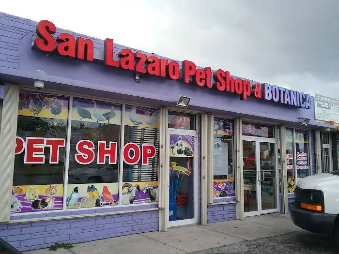 Botanica San Lazaro Pet Shop Almacén Wholesale Picture 2