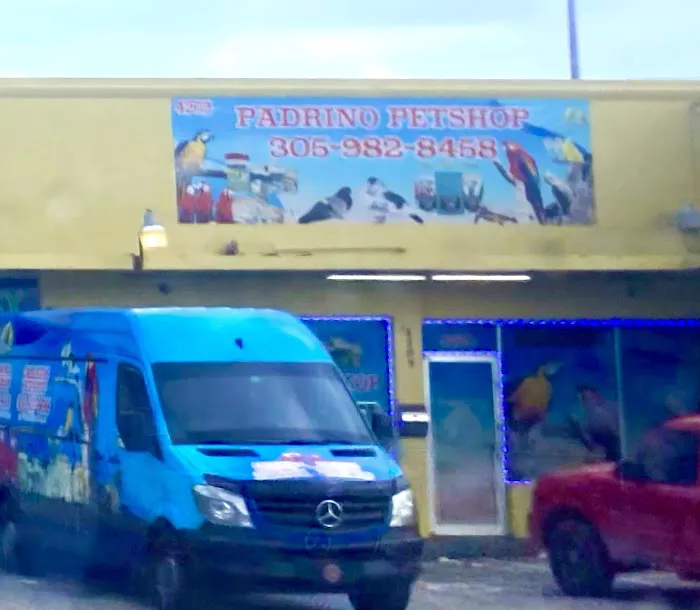 Padrino Petshop Picture 4