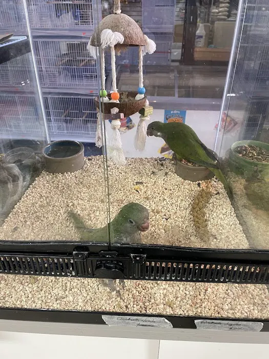 Padrino Petshop Picture 7