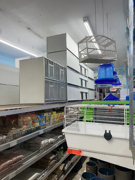 Padrino Petshop Picture 1
