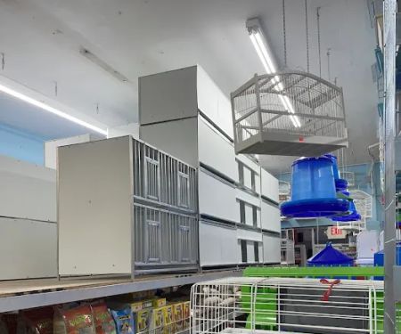 Padrino Petshop