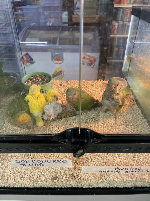 Padrino Petshop Picture 10