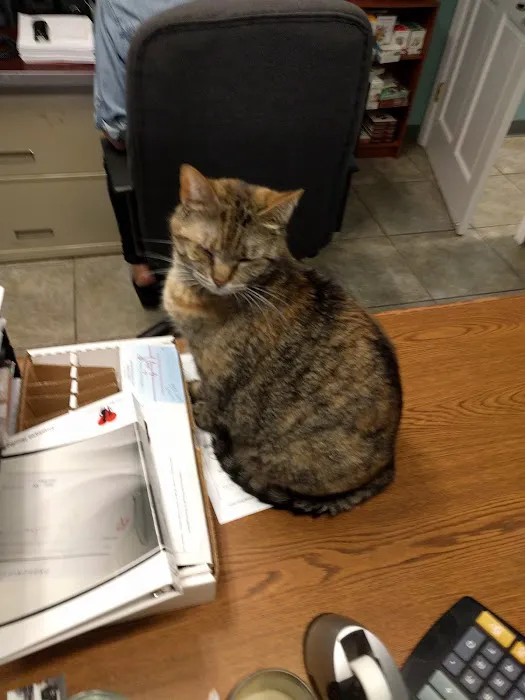 My Best Friends Animal Hospital Picture 8