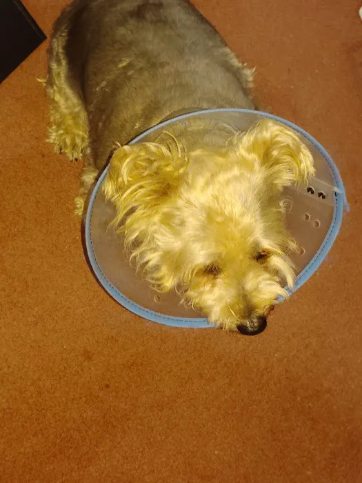 My Best Friends Animal Hospital Picture 10