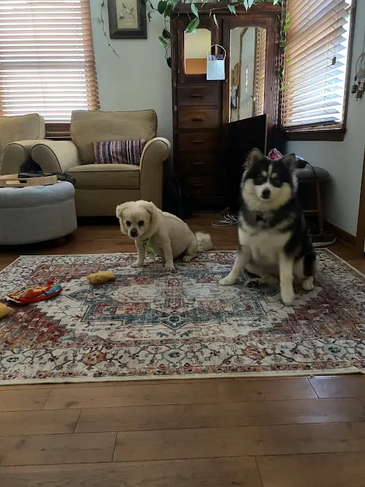 My Best Friends Animal Hospital Picture 6