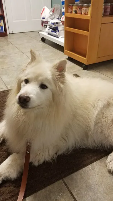My Best Friends Animal Hospital Picture 9